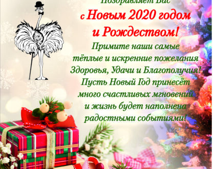 Счастливого Нового 2020 года и Рождества!