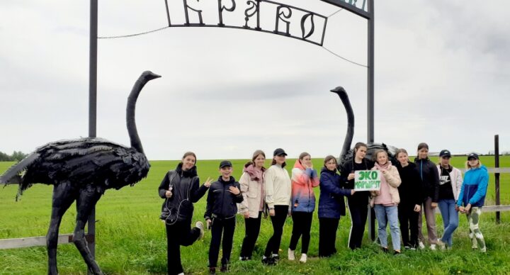 Страусиная ферма БРАВО в Чебоксарах